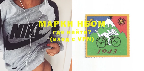 шишки Надым