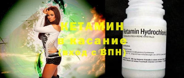 шишки Надым