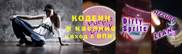 шишки Надым