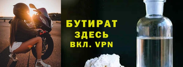 шишки Надым