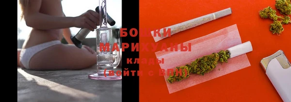 шишки Надым