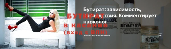 шишки Надым