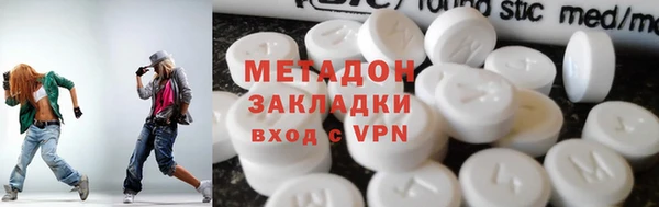 шишки Надым