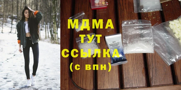 шишки Надым