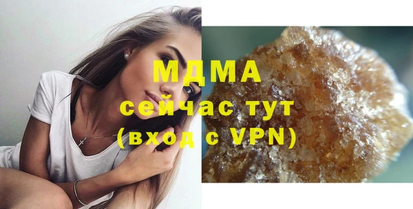 шишки Надым