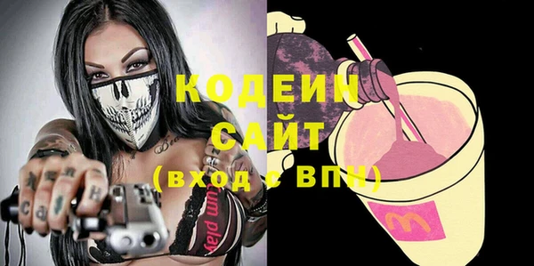 шишки Надым