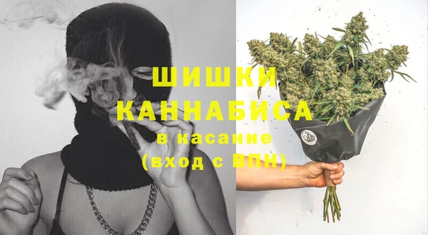 шишки Надым