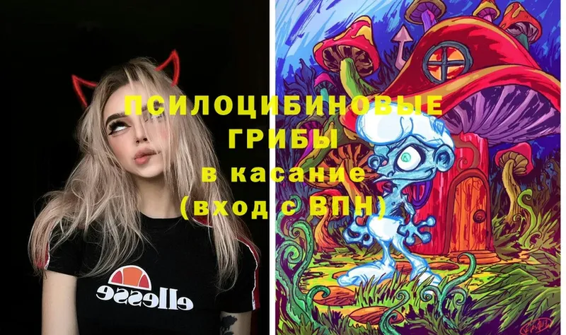 что такое наркотик  Безенчук  Псилоцибиновые грибы Psilocybe 